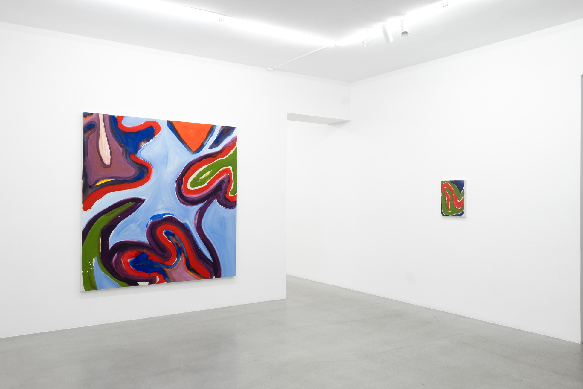 Installation view, Maitri — main room